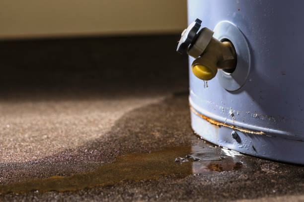Best Local water damage restoration  in Versailles, KY