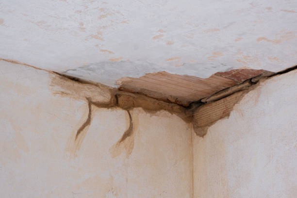 Best Fire Damage Restoration  in Versailles, KY