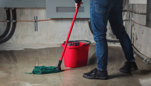 Best Water damage restoration process  in Versailles, KY