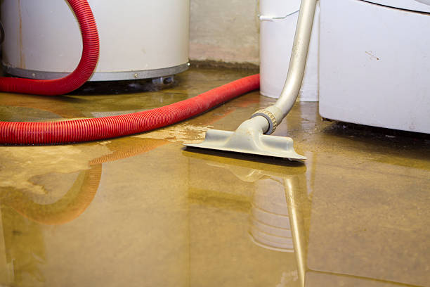 Best Flooded house restoration  in Versailles, KY