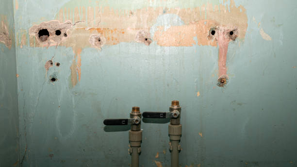 Best Water damage restoration near me  in Versailles, KY